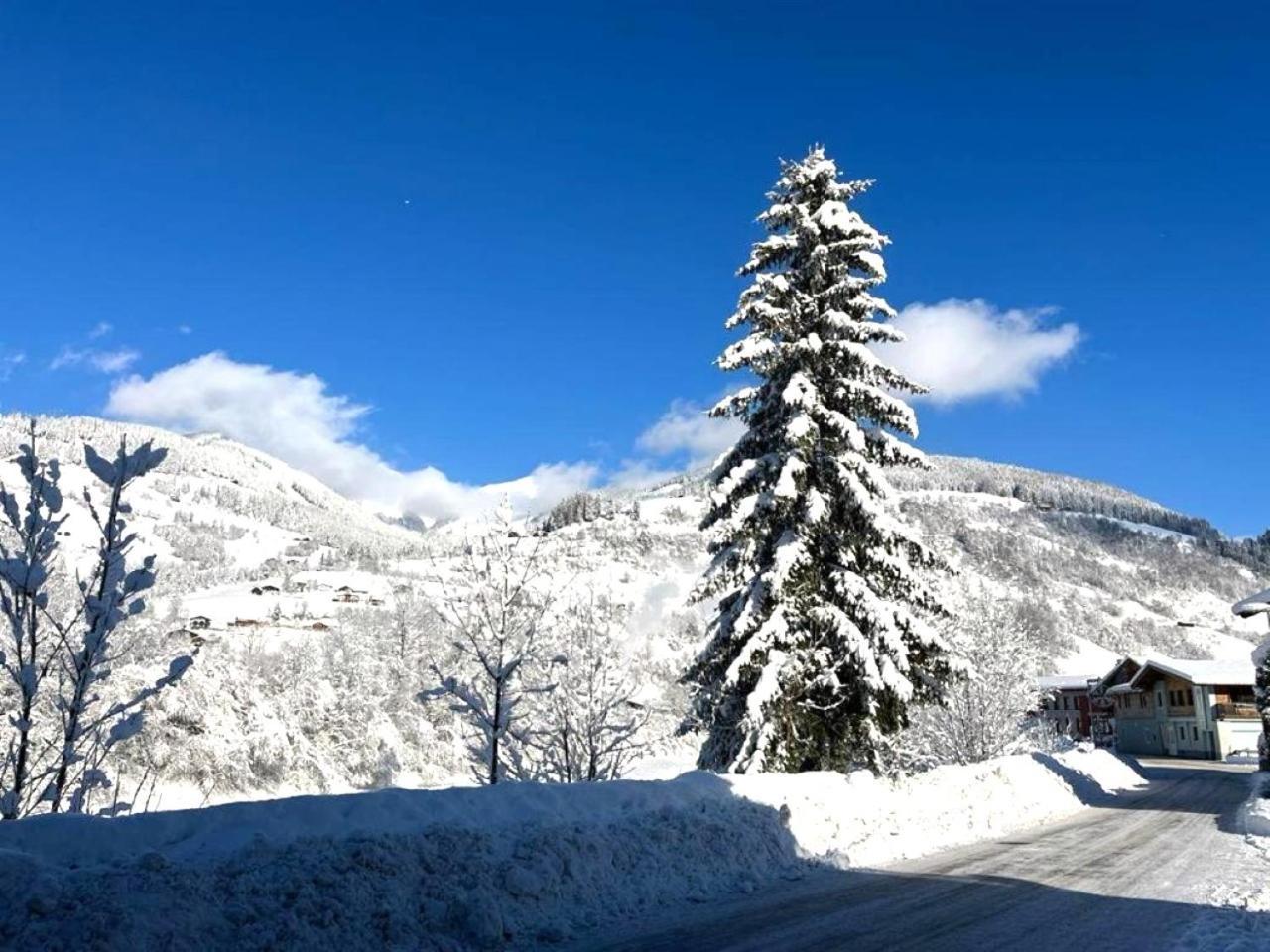 Penthouse Julia Naehe Badesee Mit Infrarotsauna -Zell Am See Kaprun Niedernsill Buitenkant foto